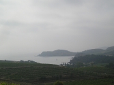 Fog lies over Collioure