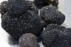 Black truffles are in season during the summer so Melagrana must select his menu to fit the availability of truffles.
