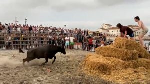 Two men stand on a haystack as a bull charges toward them.