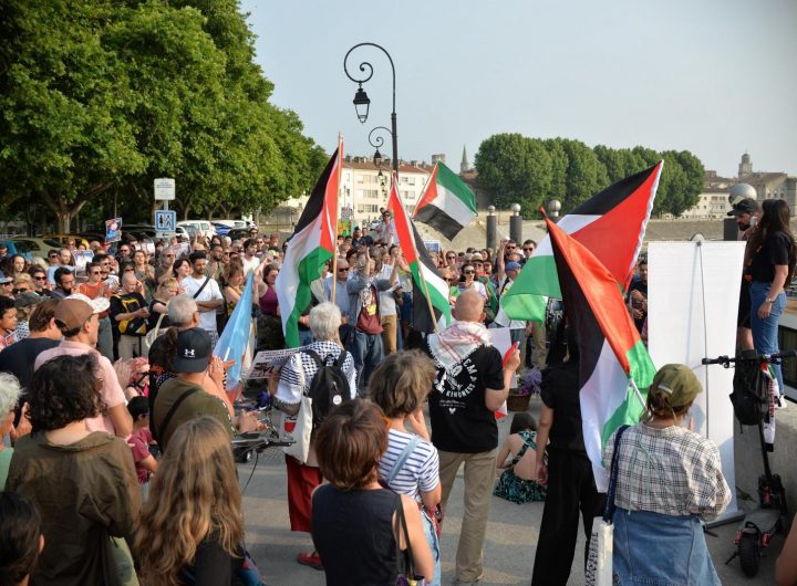 Demonstrators holding signs and Palestinian flags are shown protesting.
