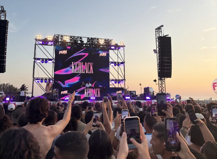 Audience members hold up phones at a music festival in Marseille.